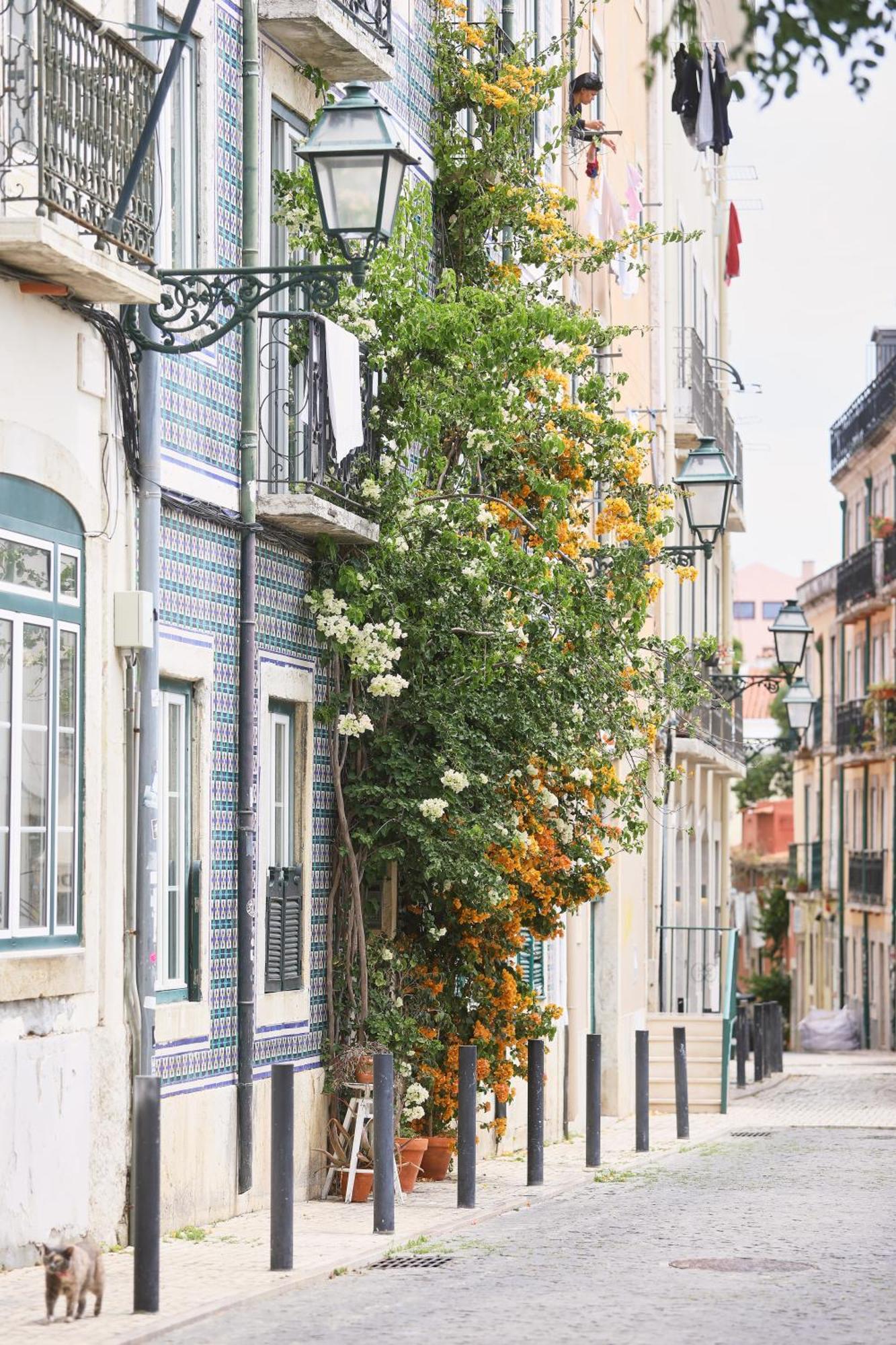 Bica Little House Lisboa Quarto foto